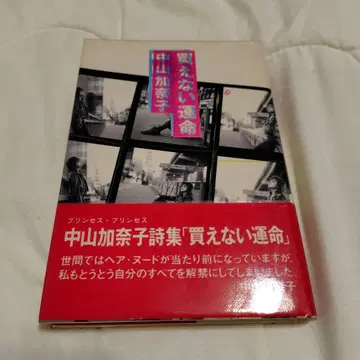 나카야마 카나코 시집 살 수 없는 운명 프린세스 프린세스