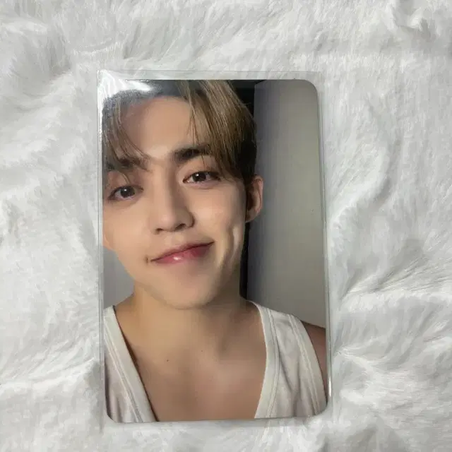 세븐틴 포카 판매