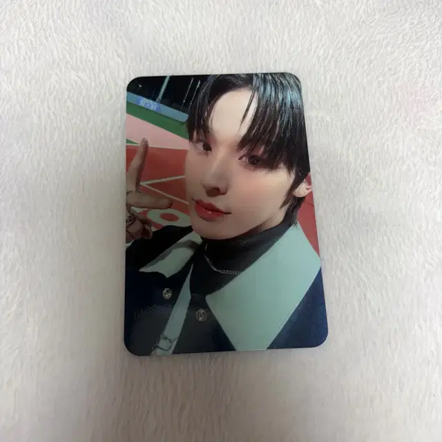 엔시티 위시 엔위시 리쿠 핸즈업 앨범 포카 양도 판매 처분