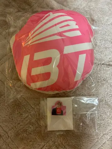 초특급 하피찬 복권 카이