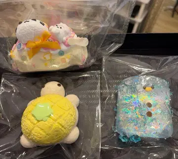 반짝반짝 선생님 스퀴즈