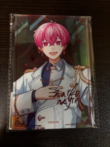 이레귤러이스 5주년 기념 오로라박 아크릴 플레이트 나이코