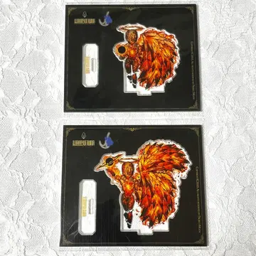 라이브러리 오브 루이나 게스트 아크릴 필립