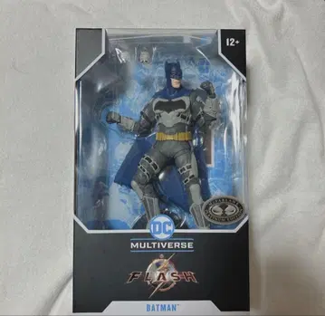 DC 멀티버스 배트맨 더 플래시