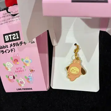 BTS BT21 토끼 참 CHIMMY 지민 토끼 치미