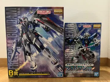 미조립 건담 프라모델 복권 MG 1/100 프리덤 엑시아