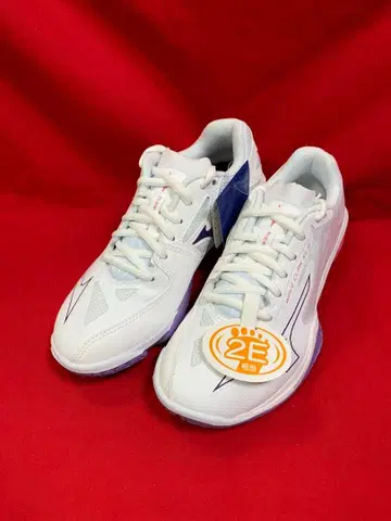 71GA258268 22.5cm 배드민턴 미즈노 신발