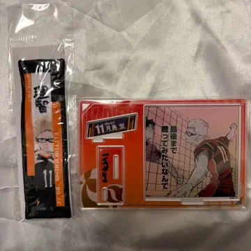 하이큐 츠키시마 케이 생일 2025