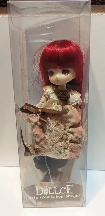 돌체 미니 스위츠돌 (단이) 클라우디 로즈마리