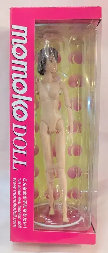 세키구치 momokoDOLL 쏜살같이 하교