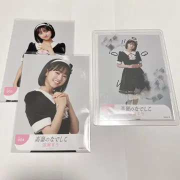 타카네코 스즈미 스우 브로마이드 친필 세트