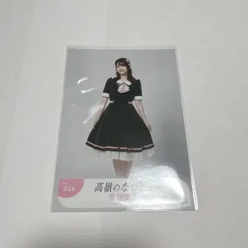 타카네코 호시야 미라이 안티 팬 브로마이드