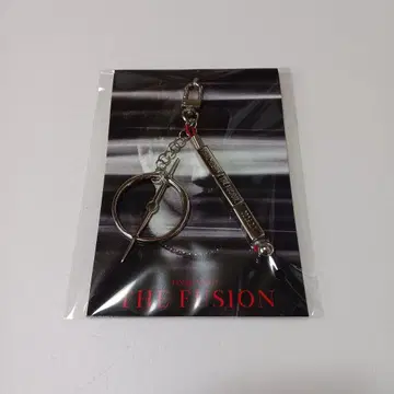토사카 히로오미 INFINITY MOON Metal key Charm