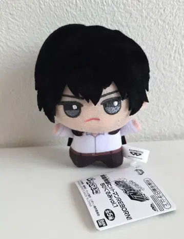 가정교사 히트맨 REBORN! 리본 SD 인형 히바리 쿄야