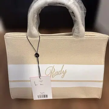 rady 레이디 백 캔버스