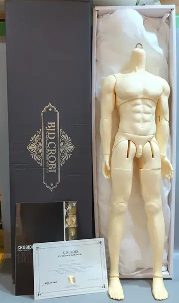 CROBI DOLL G-Line Boy body