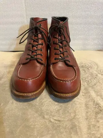 레드윙 8282 100주년 기념 모델 2005족 한정판 초대 벡맨