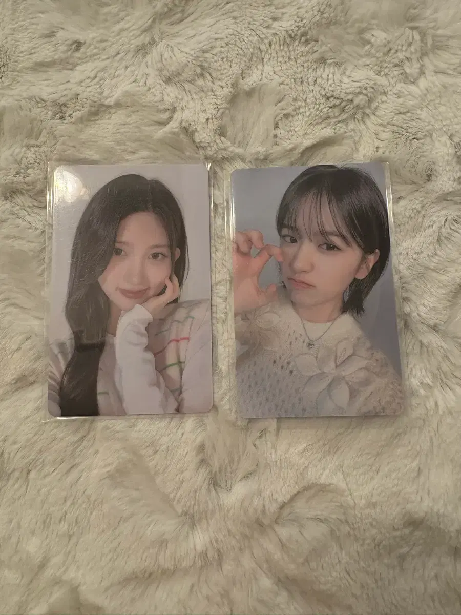 가을 유진 파파존스 포토카드 판매