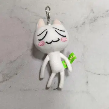 레어 굿즈 도코데모 잇쇼 키체인 토로 당시품 레트로