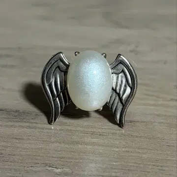 가정교사 히트맨REBORN 봉고레링 육조화 백란 마레링 3