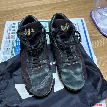 하타케야마 스파이크