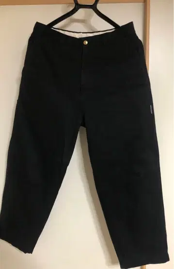 everyone ALWAYTH troweather pants 에브리원