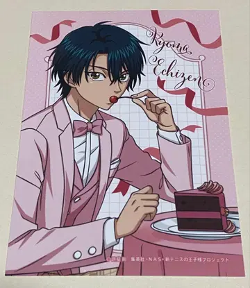 신 테니스의 왕자님 신 테니 테니프리 점페스 엔스카이 브로마이드 에치젠