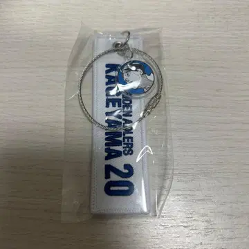 하이큐 크로스 키링 카게야마 토비오