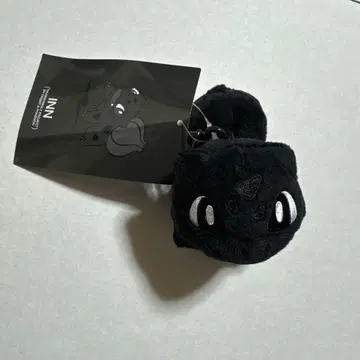 프래그먼트 x 포켓몬 썬더볼트 프로젝트 이상해씨