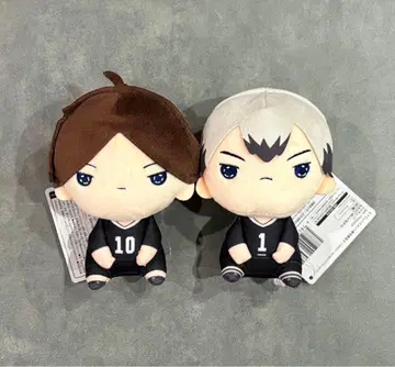 하이큐!! 모찌피코 봉제 인형 스나 린타로 키타 신스케 2종 세트