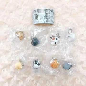 만마루 동물 만마루 고양이 마스코트 전 8종 컴플리트