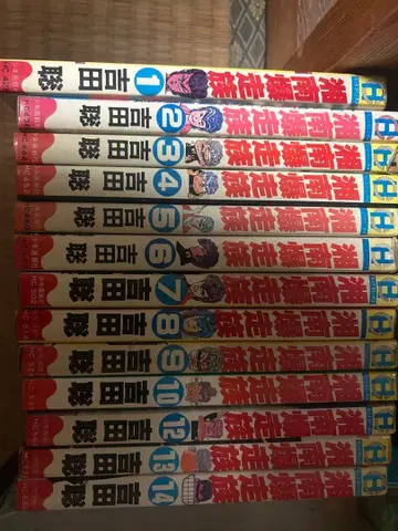 쇼난 폭주족 1-10, 12-14권