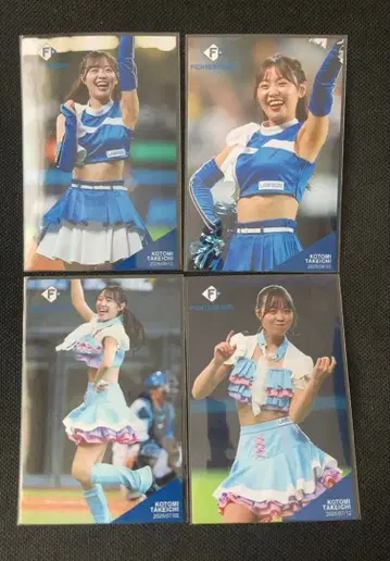 파이터즈걸 타케 이치 코토미 씨 하이라이트 사진 4장 세트