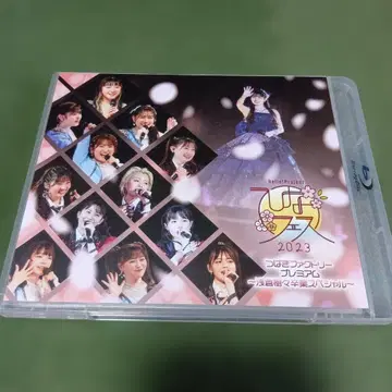 츠바키 팩토리 히나 페스티벌 2023 아사쿠라 키키 졸업