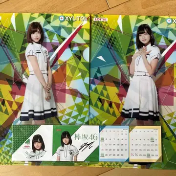 케야키자카46 클리어 파일 와타나베 리사 히라테 유리나