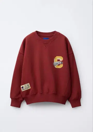 ZARA Champion 프린트 패턴 맨투맨