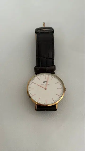 Daniel Wellington DW 손목시계 화이트/골드