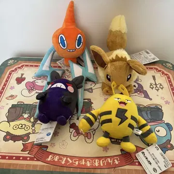 로토무 이브이 모루페코 에레키드