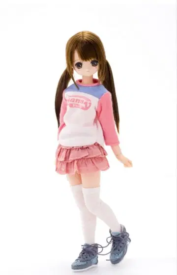 아존 1/6 FannyFanny/히메노 신발만