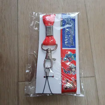 넥스트랩 전격 닌텐도 DS 부록 하트골드 소울실버