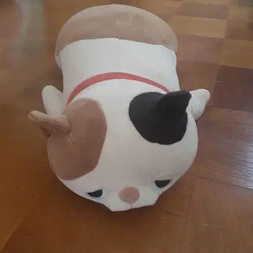 프랑프랑, 고양이 봉제 인형. 빨간색 목걸이 포함