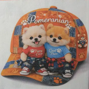 접수 포메라니안