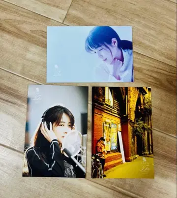 ZARD 35주년 캠페인 엽서 3장 세트