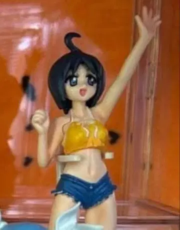 파니포니 대쉬! 비치 컬렉션 카타기리 히메코