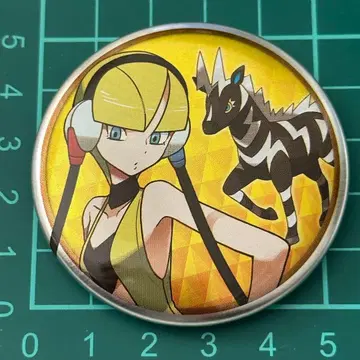 카미츠레 제브라이카 트레이닝복 캔뱃지 이쉬 지방편 포켓몬 센터 BW