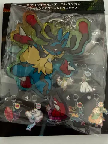 메가 루카리오 아크릴 키링