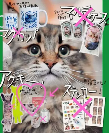 시베리안 야생 고양이 아크릴 키링