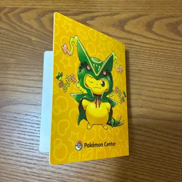 판초를 입은 피카츄 레쿠자 카드 파일