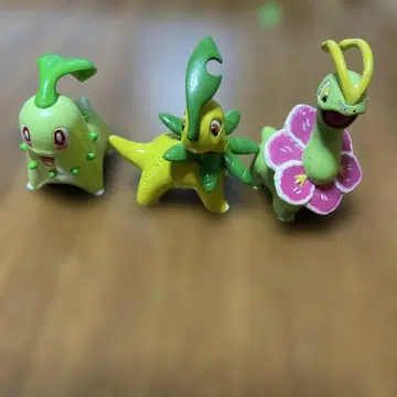 치코리타 베이리프 메가니움 몬코레 3체 세트