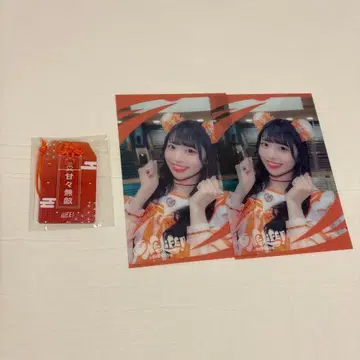 코구마 마무 무도관 굿즈